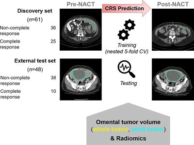 Clinically Interpretable Radiomics-Based Prediction of Histopathologic Response to Neoadjuvant Chemotherapy in High-Grade Serous Ovarian Carcinoma